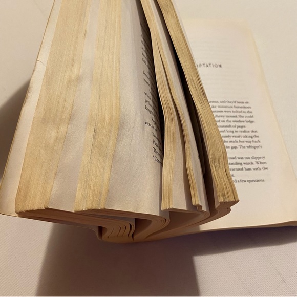 The Book Thief - Picture 5 of 5